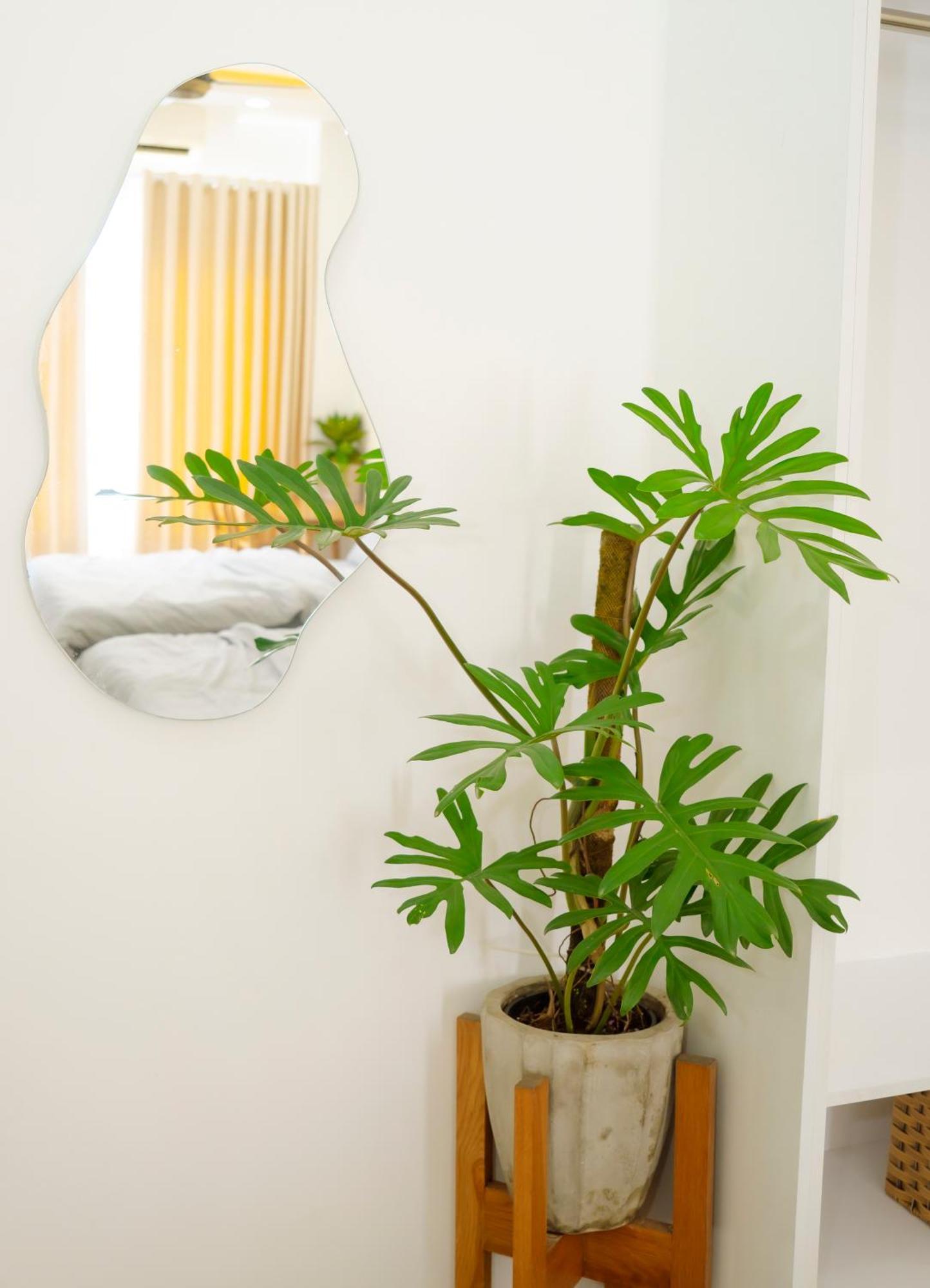 La Homestay Long Xuyen Exterior photo